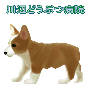 川辺どうぶつ病院